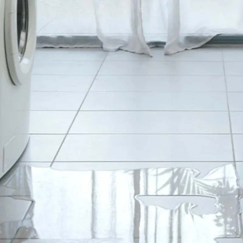 Appliance Leak Cleanup in Hahira, GA