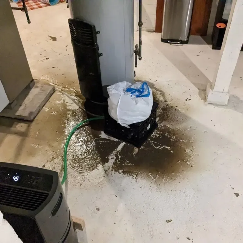 Sewage Backup Cleanup Service in Hahira, GA